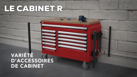 Discover the host of capabilities of the Rousseau robust cabinets